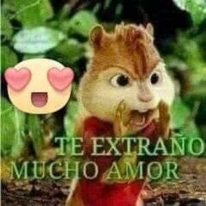 Meet your Posher, Frank